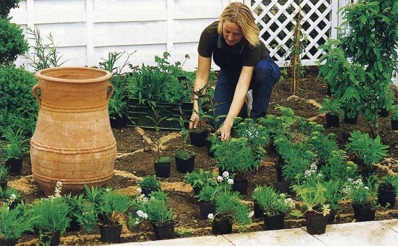 Как самостоятельно сделать клумбу для растений и цветов