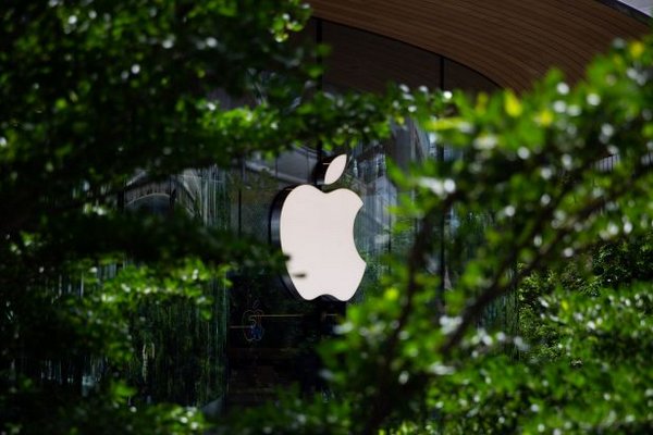 Apple отказалась увеличивать производство iPhone: Bloomberg объяснило причину