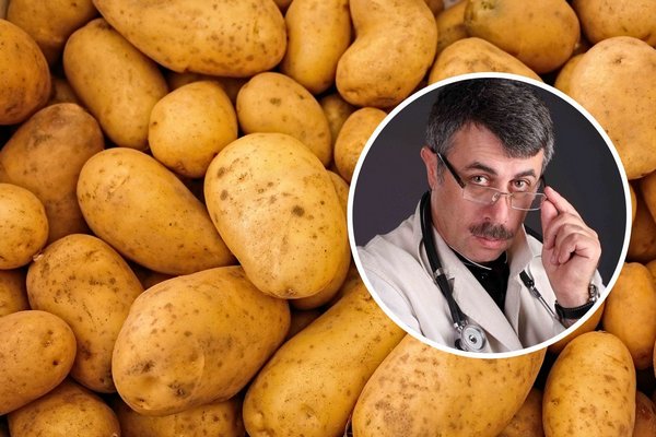 Комаровский рассказал о пользе и вреде картофеля: 