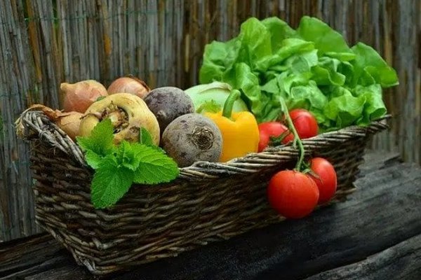 Какой овощ способен снизить уровень холестерина