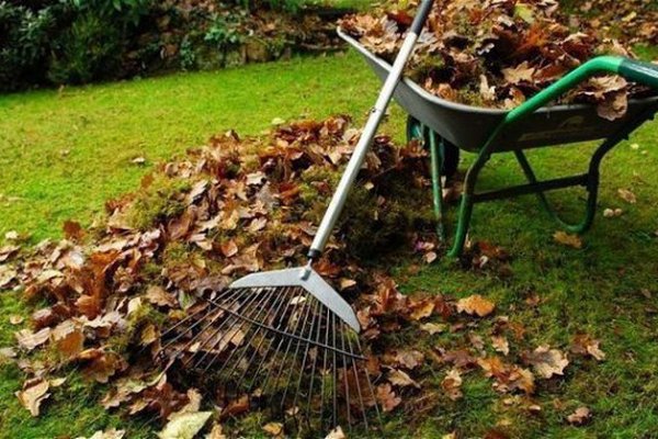 Как правильно осенью убрать сад и двор – полезные советы