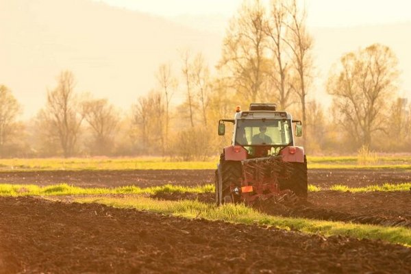 Почему земля в Украине стремительно дорожает и как это коснется фермеров