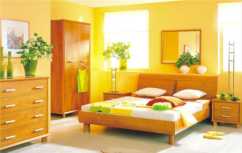 Как правильно подобрать комнатные растения для спальни?