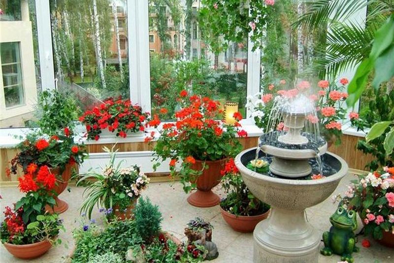 Зимний сад в загородном доме: рекомендации по обустройству