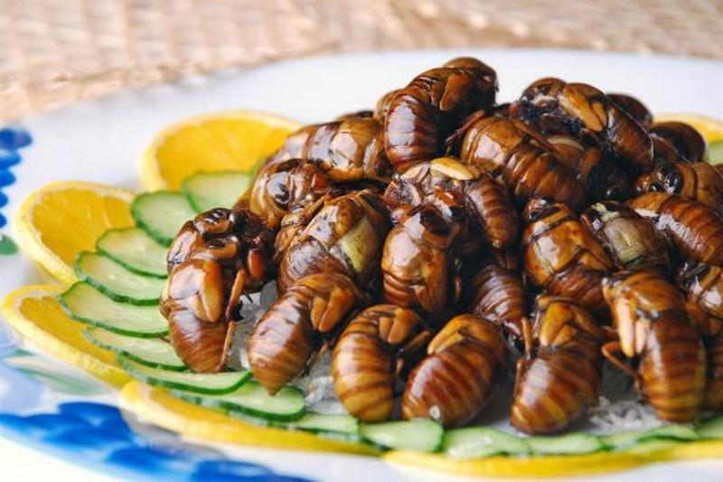 Странная пища становится все популярнее: почему употребление насекомых - здоровый выбор