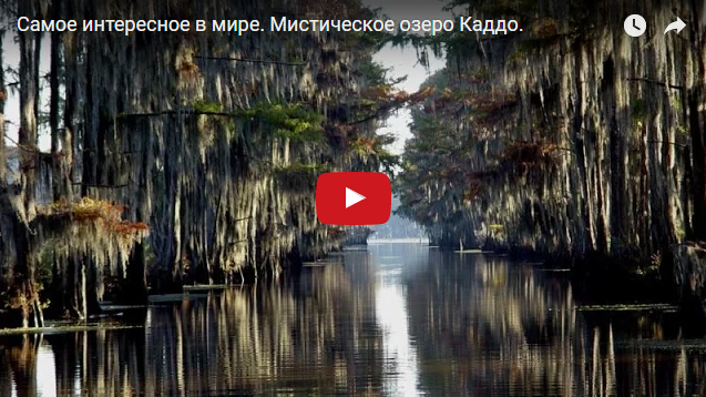 Озеро Каддо в США – самое невероятное и мистическое