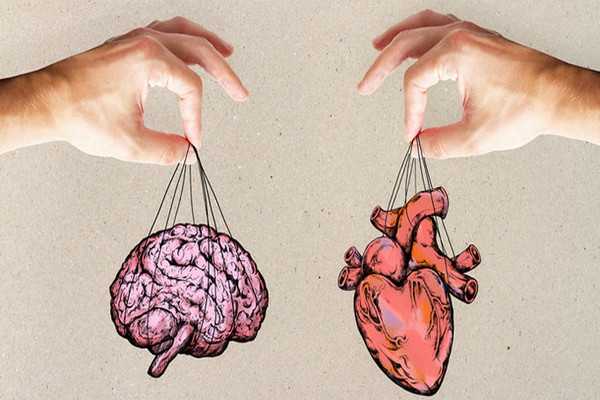 Решать головой или сердцем: 9 вопросов и ответов