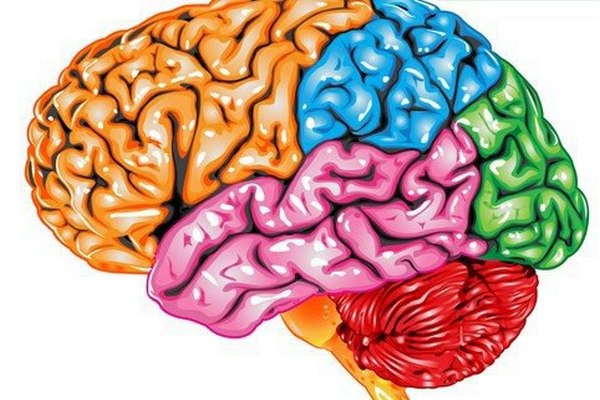 10 вещей, отрицательно влияющих на мозг