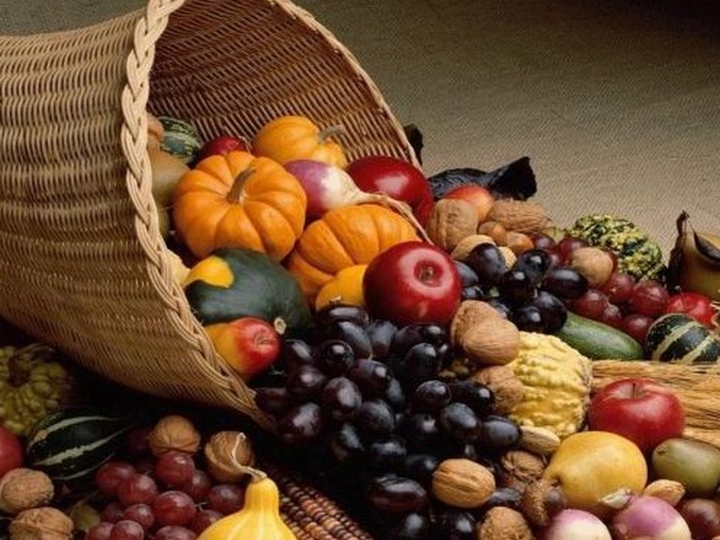 Сушка и вяление овощей, фруктов и ягод