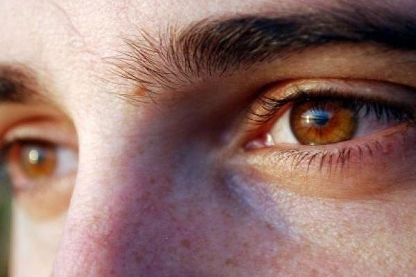 Ученые выяснили, как связаны цвет глаз и тяга к алкоголю