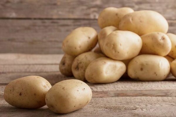 Среднеспелые, среднепоздние и поздние сорта картофеля