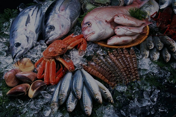 Интернет-магазин рыбы и морепродуктов «Мир Морей»