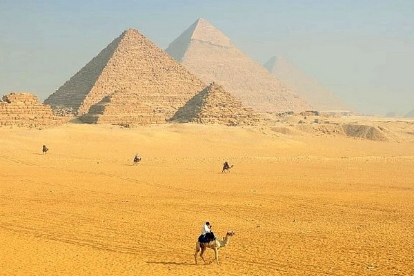 В Египте не будет туристических прогулок на верблюдах