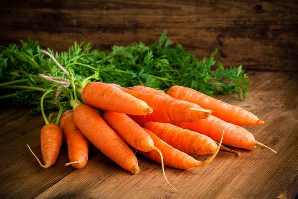 Чем может быть опасна морковь