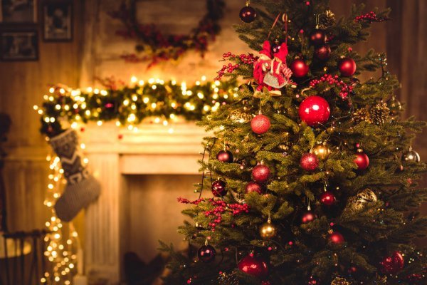 Рождественская елка. История традиции