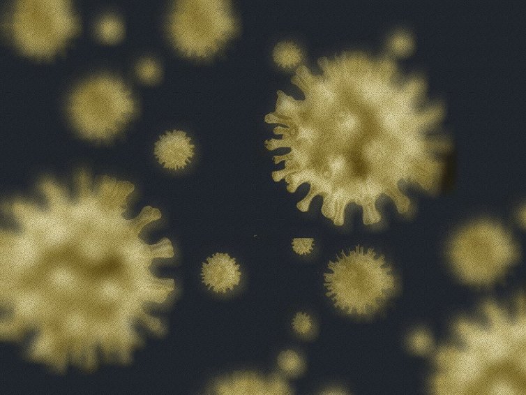 Тяжесть симптомов COVID-19 зависит от того, на какую часть вируса нацелены антитела, - исследование