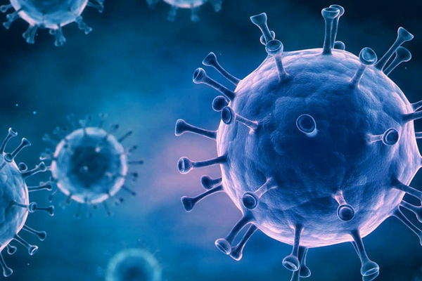 Что такое иммунитет и почему он бывает пониженным