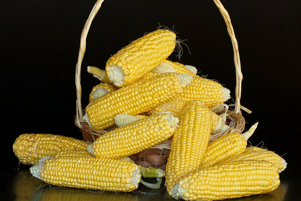 Врачи выяснили, кому строго запрещено есть кукурузу