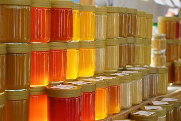 Мед избавит от анемии