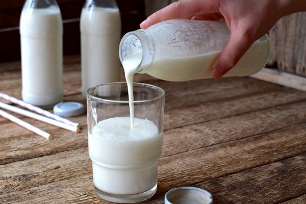 Почему молоко не скисает, а становится горьким, и что на это может влиять