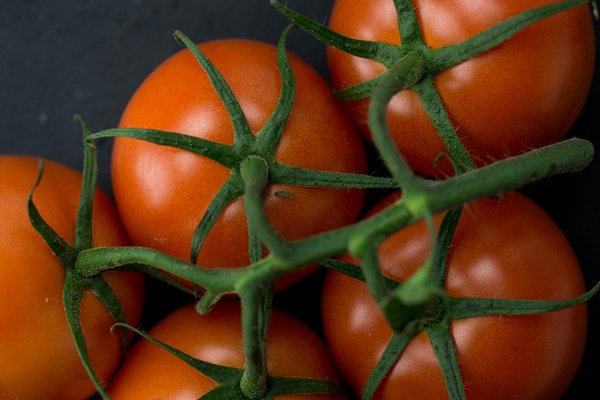 Как вырастить вкусные и здоровые помидоры: полезные лайфхаки для огородников