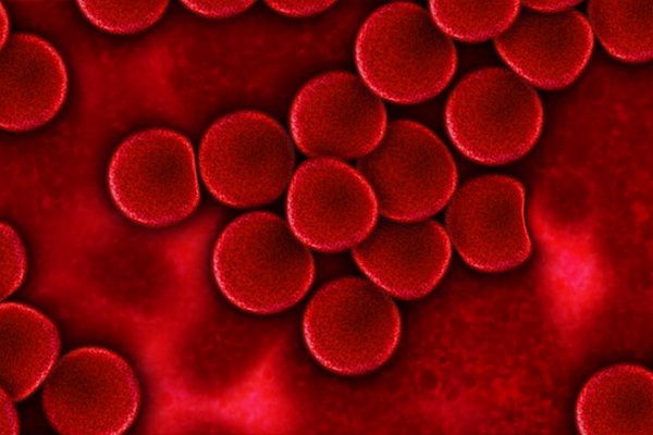 Ученые выяснили, люди с какой группой крови живут дольше и здоровее