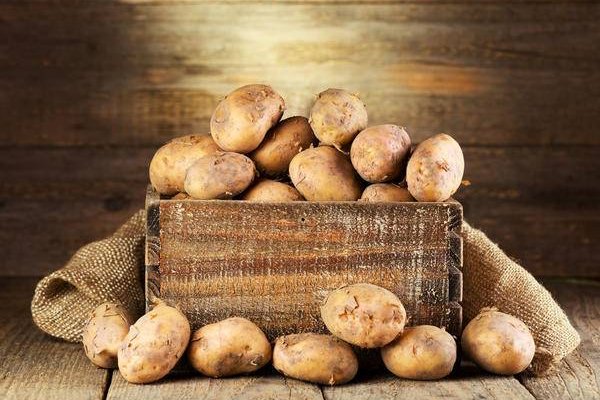 Как сохранить картофель до следующего года: пять главных правил