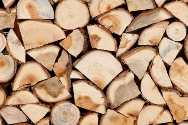 Дали совет, какие дрова подойдут для отапливания помещений
