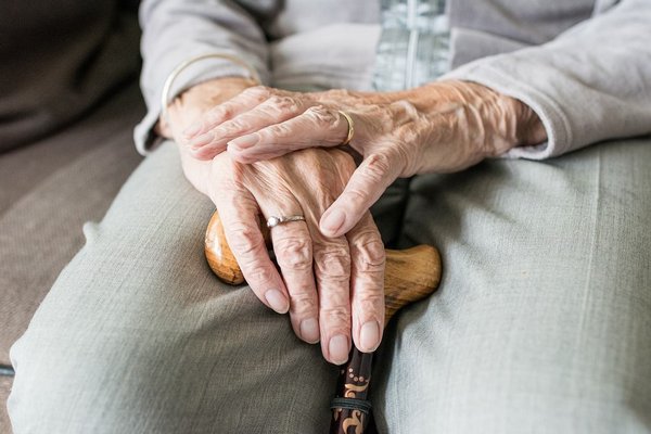 Базилик признали эффективным средством для профилактики деменции