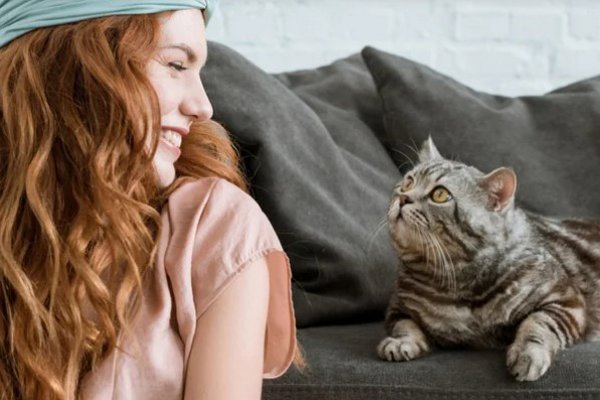 Кошки знают, когда хозяева говорят с ними. Но им все равно