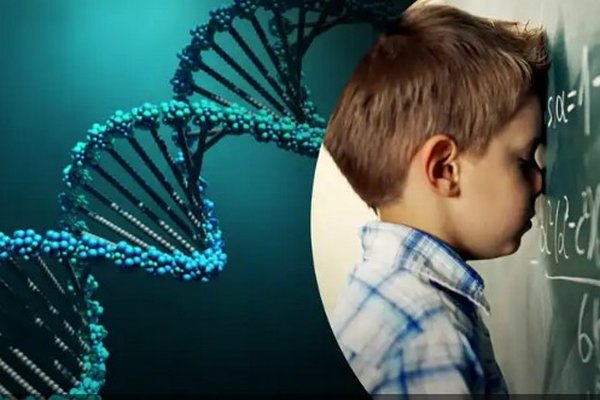 Наука обнаружила гены, вызывающие развитие дислексии
