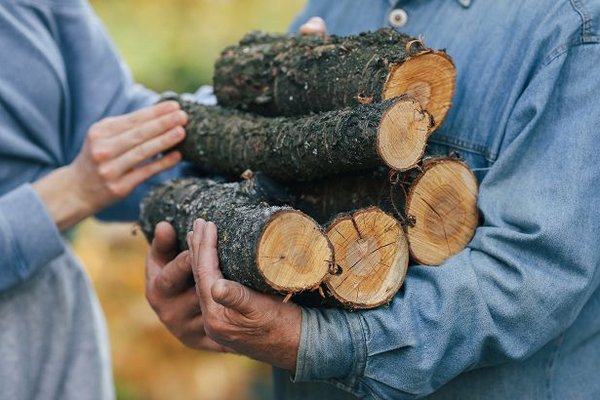 Можно ли собирать дрова в лесу для отопления: важное объяснение