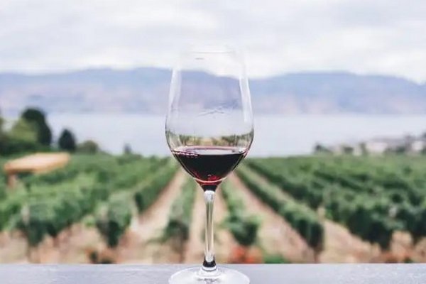 Действительно ли красное вино полезно
