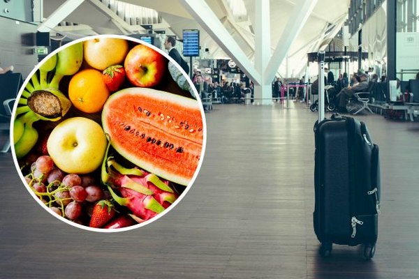 Туристам на заметку: этот фрукт запрещено провозить во всех авиакомпаниях мира