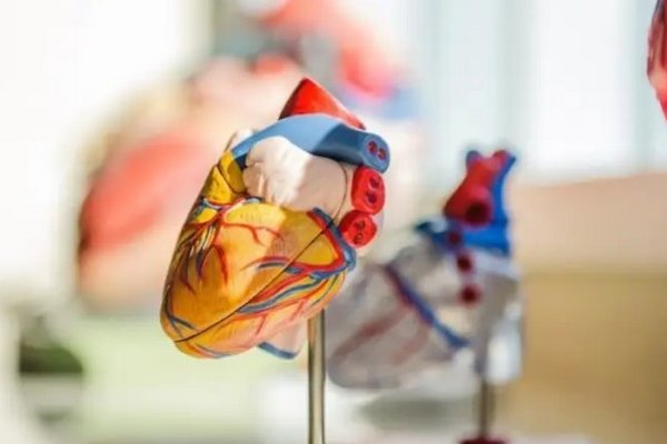Ученые назвали малозаметные симптомы сердечной недостаточности