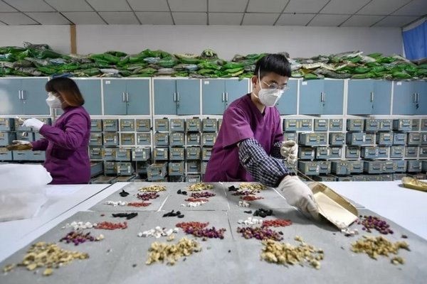 В Китае обнаружили 163 новых вида лекарственных трав ТКМ