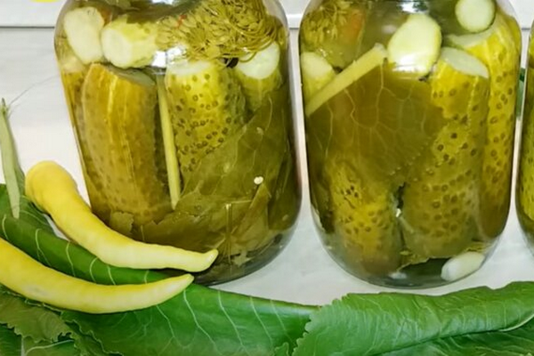 Огурцы будут хрустящие и остренькие: рецепт маринования с лимоном, который попросят все подруги