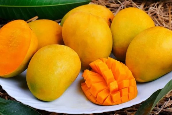 Кому нельзя есть манго: какой вред он может принести.