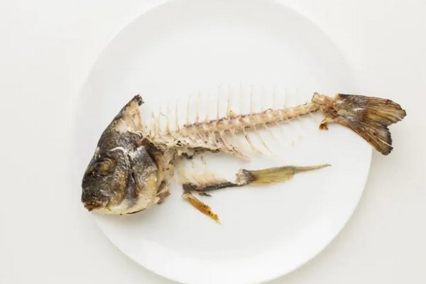 Не спешите выбрасывать рыбные кости: как эффективно использовать их на даче