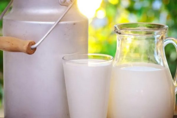 Понадобится капля и минута времени: как проверить качество молока