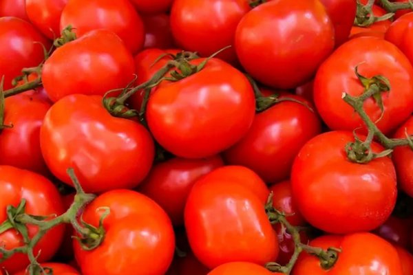 Долежат даже до Нового года: как хранить свежие томаты дома