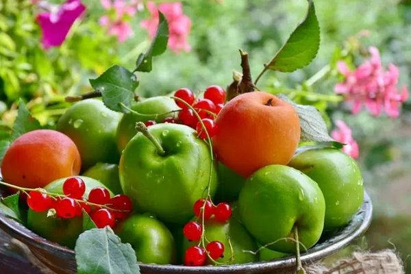 Топ лучших ягод и фруктов для здоровья печени