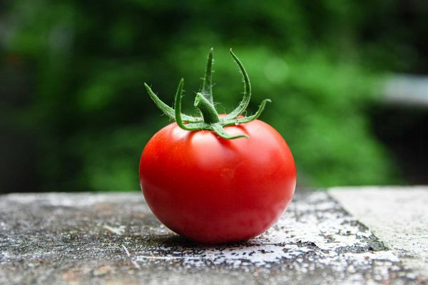 Почему важно употреблять помидоры каждый день - заявление ученых
