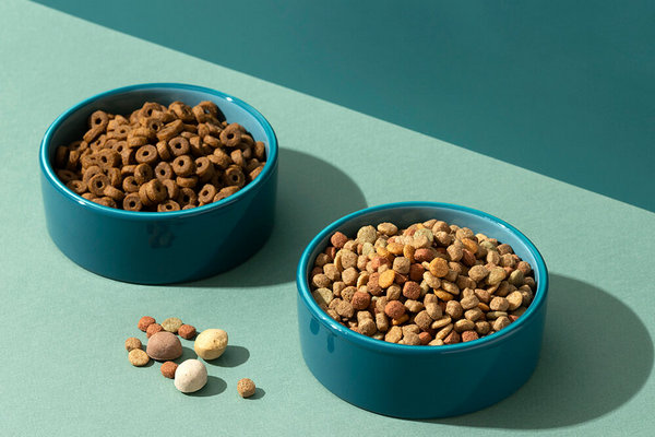 Брит: полный гид по составу корма для кошек и собак – как выбрать лучший рацион для вашего питомца.