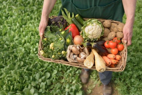 Экологически чистые продукты: забота о здоровье и природе