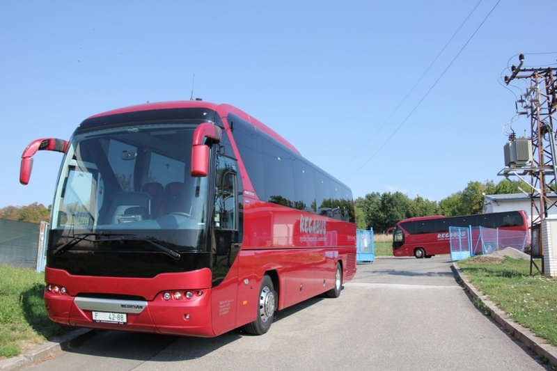 По каким критериям следует выбирать автобусного перевозчика, планируя поездку