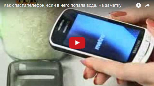 Что делать, если мобильный телефон упал в воду? (ВИДЕО)