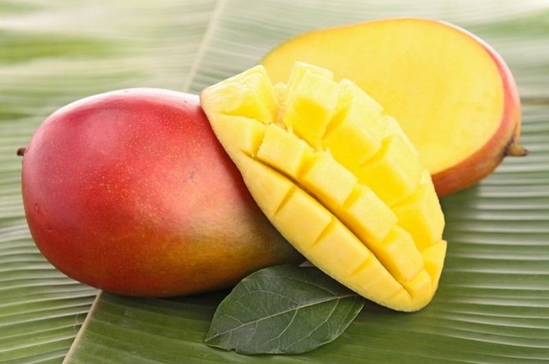Польза манго для организма