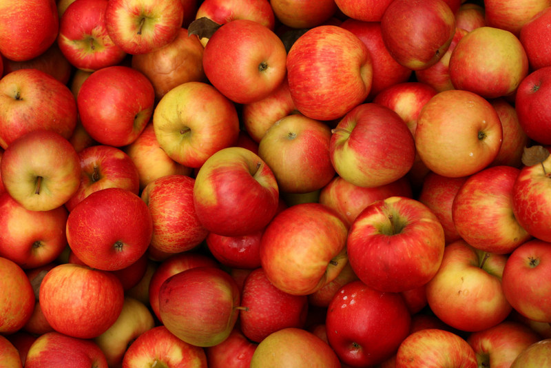 Секреты долгого хранения яблок
