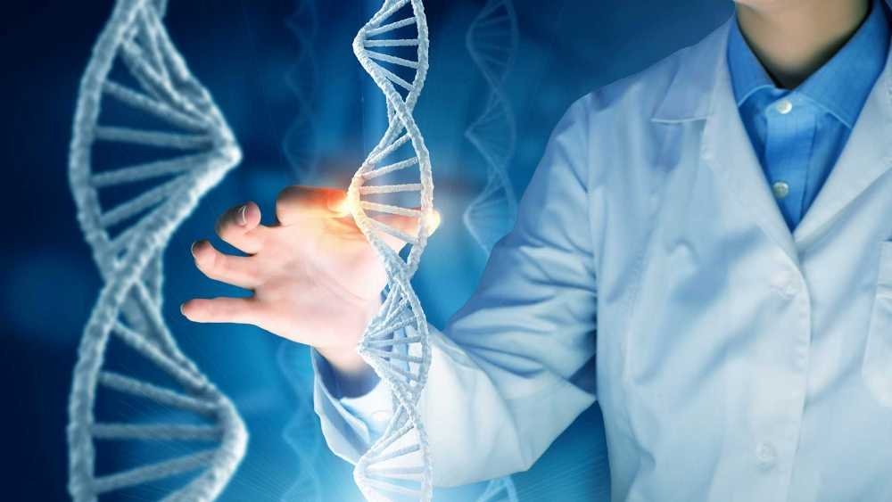 Анализ митохондриальной ДНК (тест по материнской линии)